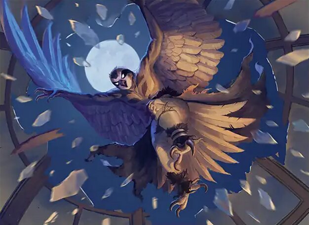 tmt 11 koya death from above